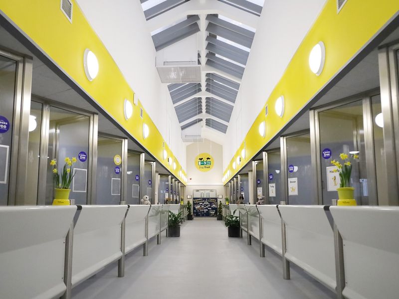 Leeds Rehoming Centre interior with kennels down a corridor.