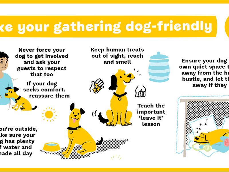 Infographic about making your gathering and parties safe and dog-friendly. Never force your dog to get involved in activities, make sure they have a safe space to go to and teach them leave it to keep safe around human treats.