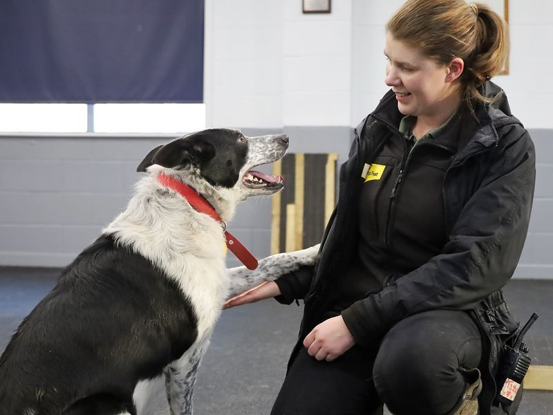 Alfie and Tasha practice his training