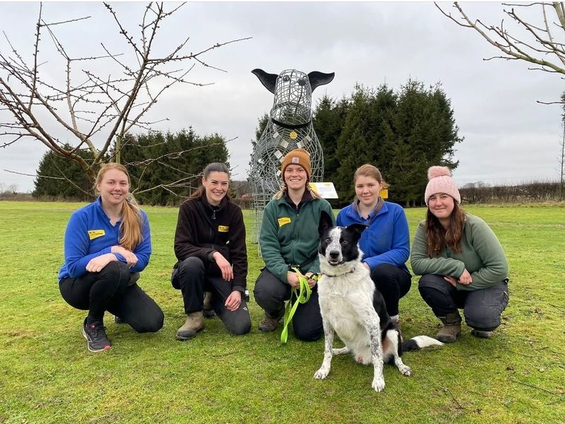 Alfie says goodbye to the team at Dogs Trust Leeds