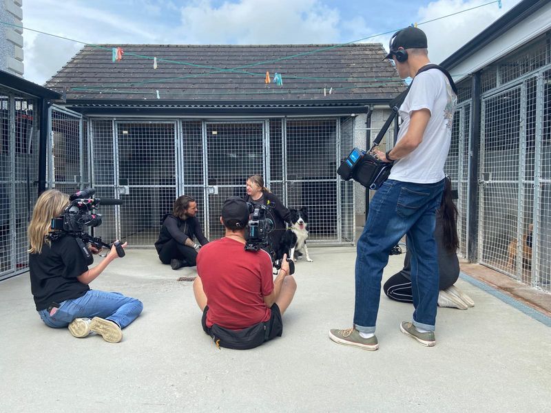 filming crew outside a kennel area with pete wicks on the floor with a centre staff and a border collie