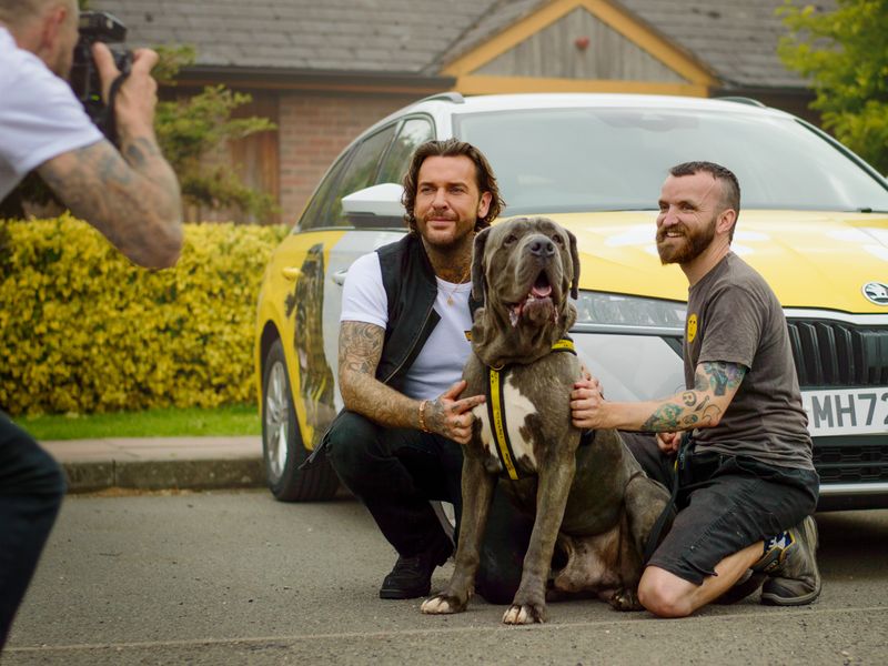 pete and a giant grey cane corso having their picture taken with another member of staff, in front of a dogs trust car