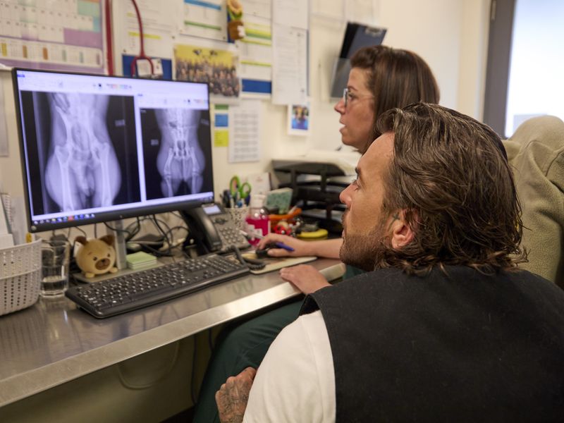 pete and a vet looking at some x-ray images on a computer