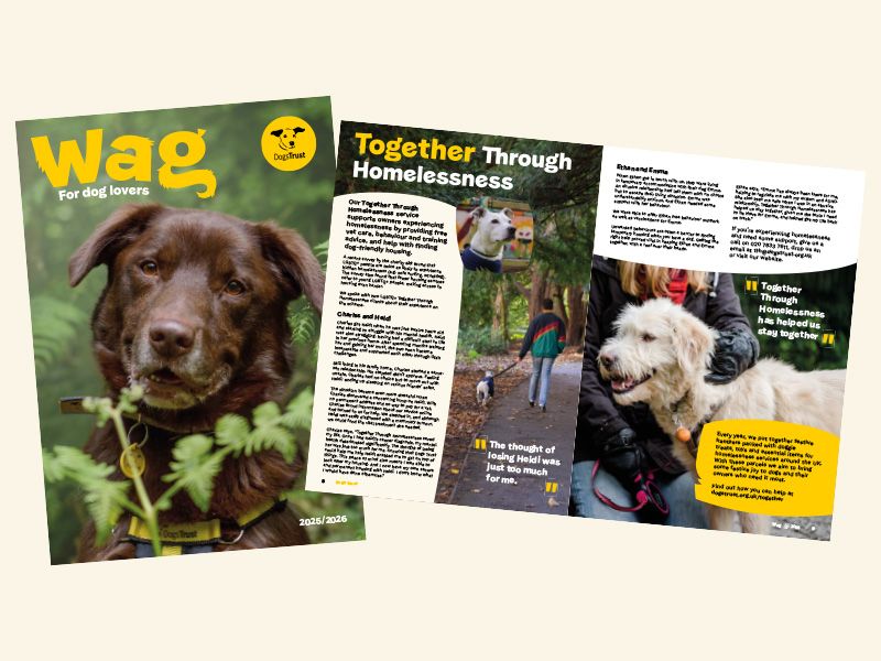 A spread showing the cover and pages of Wag magazine's 2025 edition