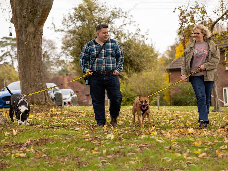 Tip and Jojo enjoy a walk with owners Ann-Marie and Grant