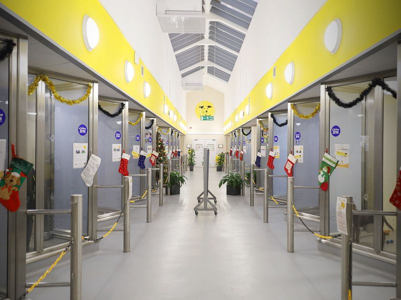 a decorated Rehoming corridor