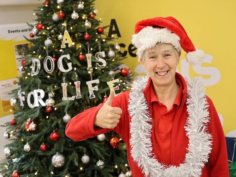 a volunteer dresses in Tinsel in front a Christmas tree