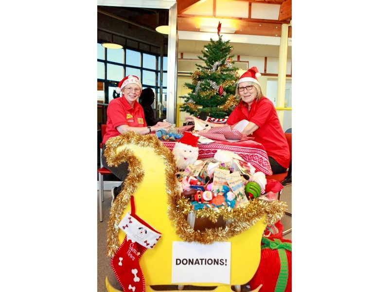 Staff at Dogs Trust Shoreham with sleigh filled with donations