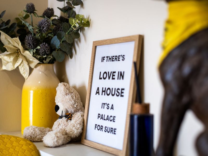 Interior shots of Oakfield Old Dogs Home