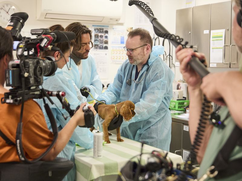 Pete wicks with a vet wearing blue PPE examining a tan Cocker Spaniel puppy with a filming crew around them