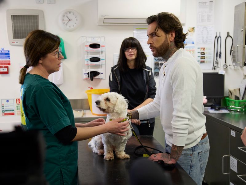 Pete Wicks behind the scenes at a Dogs Trust rehoming centre vetenary practice, with two members of staff and a small white Maltese-style dog